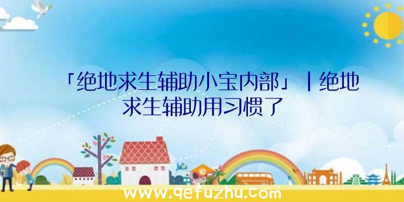 「绝地求生辅助小宝内部」|绝地求生辅助用习惯了